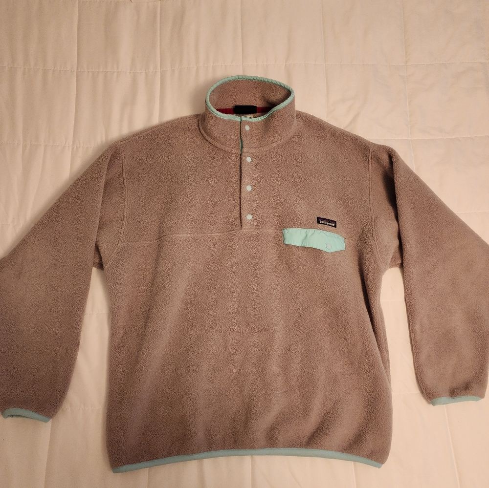 RARE Patagonia Snap-T